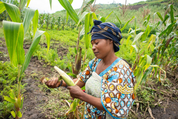 Today's recovery, tomorrow's security