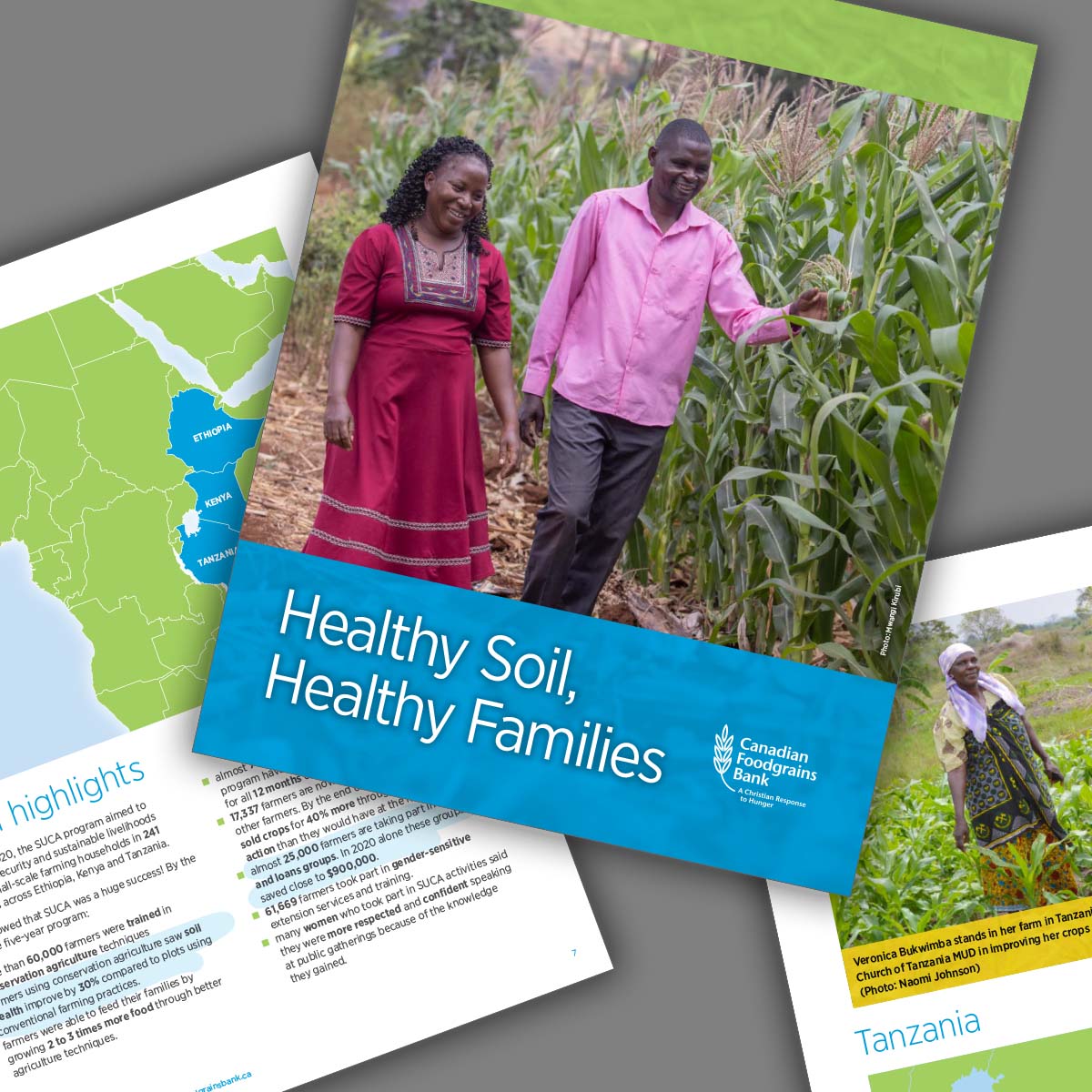 Healthy Soil, Healthy Families