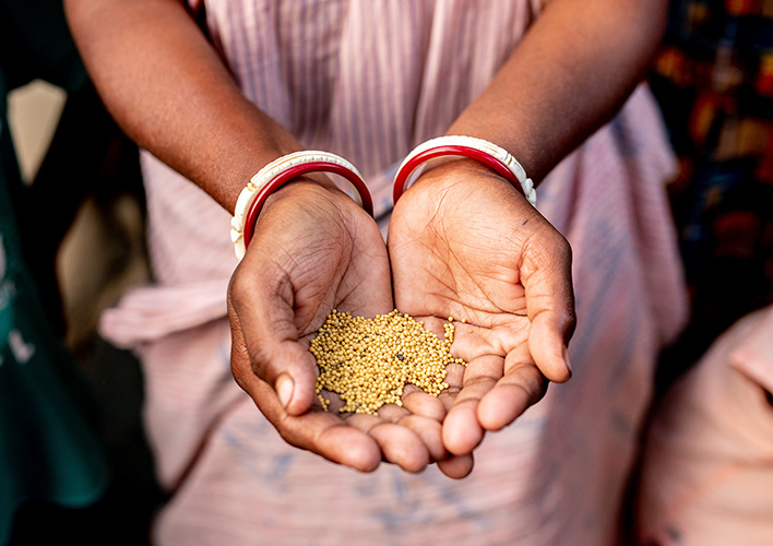 India Food Study Tour