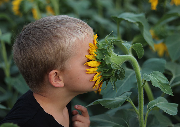 FOCUS Growing Project | Photo: Sonya Toews