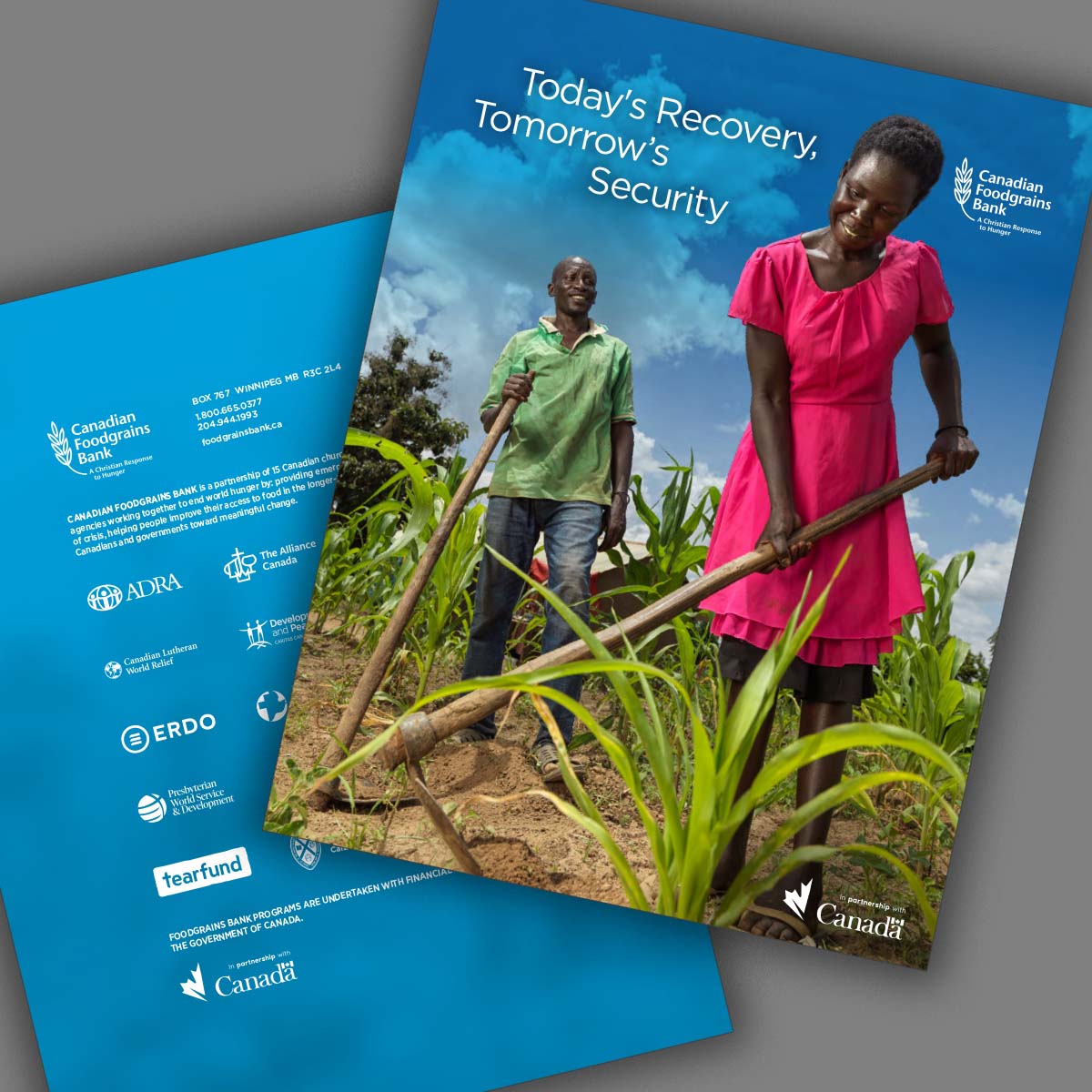 Humanitarian, Early Recovery & Development Report